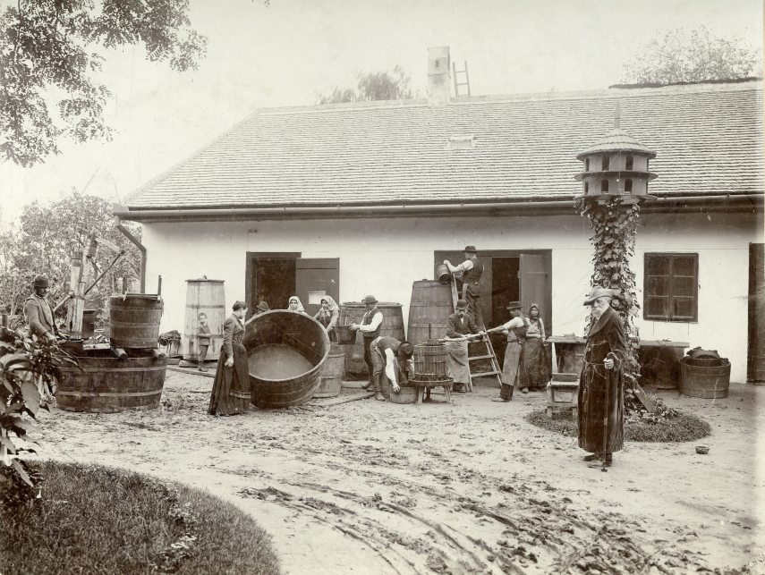 Jókai a svábhegyi szüretén