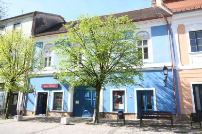 Tragor Ignác Múzeum