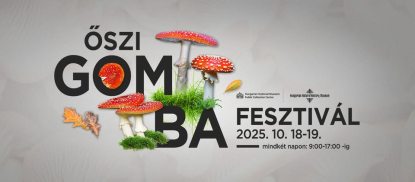 Őszi gombafesztivál.jpg