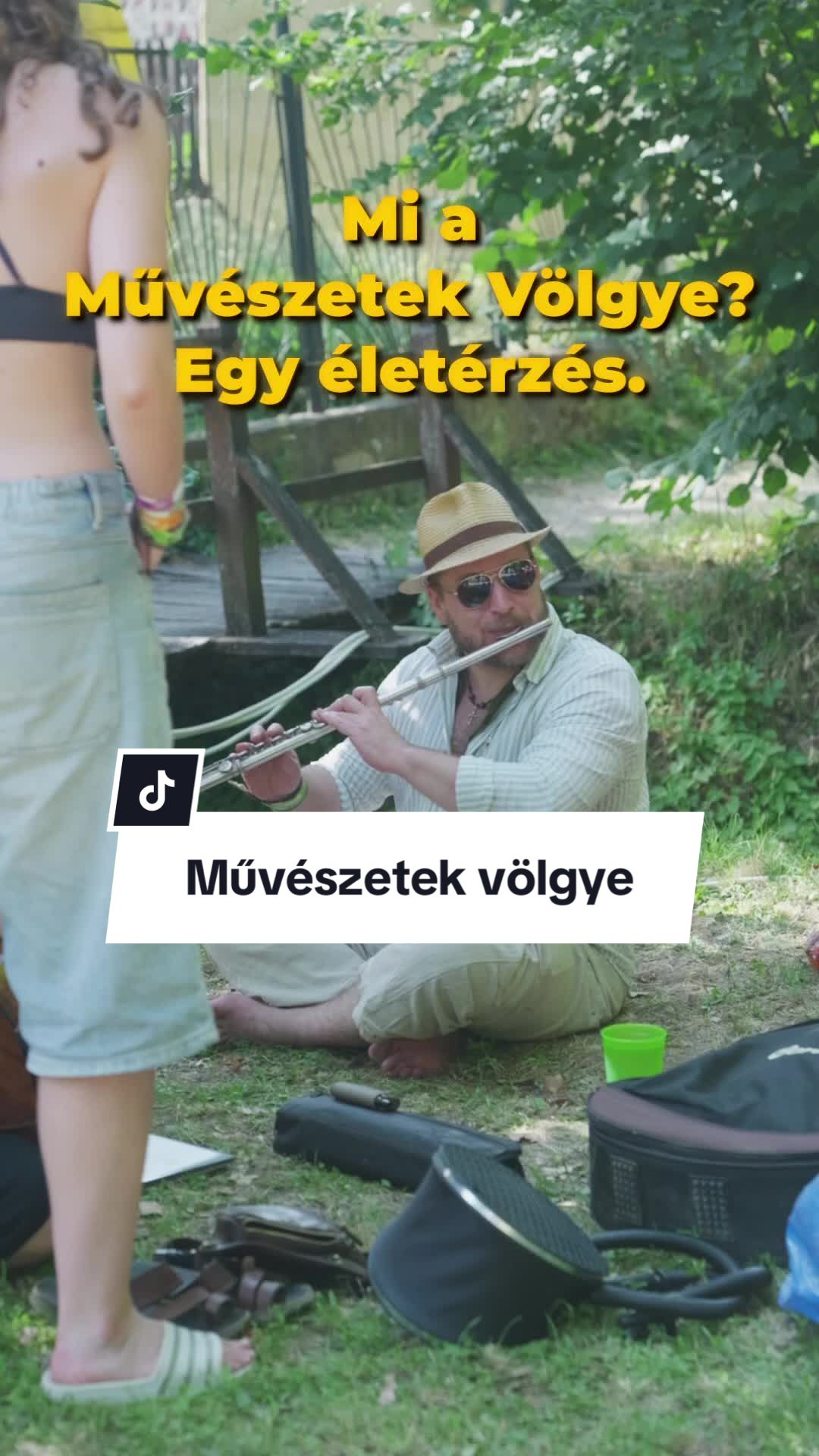 A Művészetek Völgye egy igazi életérzés. Te mit szoktál érezni a fesztiválokon?🎨 #mnmkk #múzeum #családiprogram #művészetekvölgye 