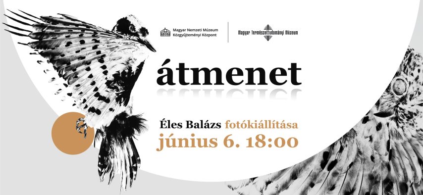 Átmenet.jpg