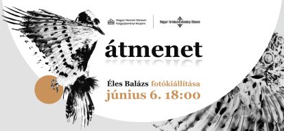 Átmenet.jpg