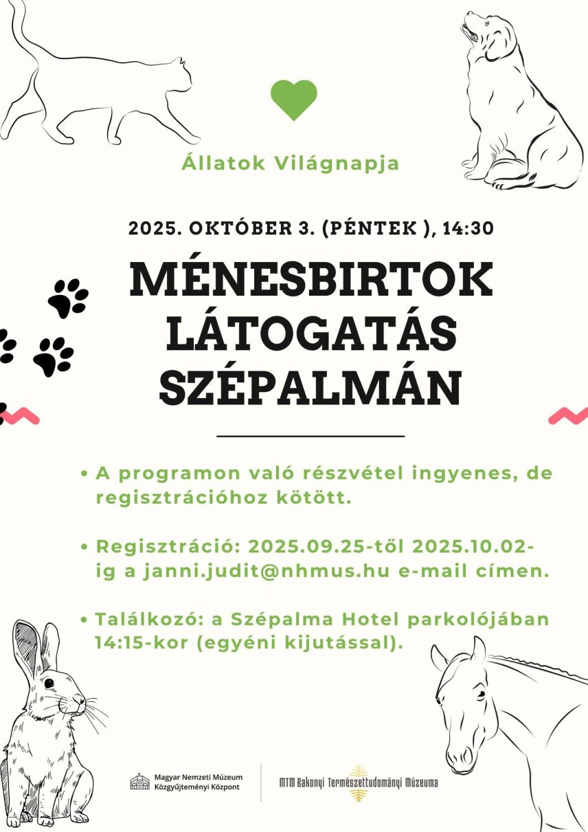 Ménesbirtok látogatás.jpg